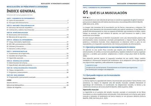 Musculación: De Principiante a Avanzado