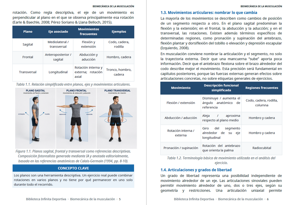 Biomecánica de la musculación