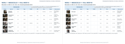 Nivel 1 Mesociclo 1 Full Body A y B