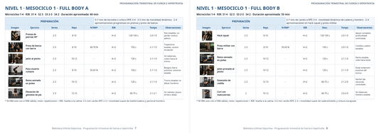 Nivel 1 Mesociclo 1 Full Body A y B