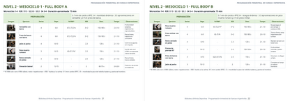 Nivel 2 Mesociclo 1 Full Body A y B