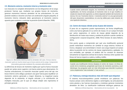 Biomecánica de la musculación