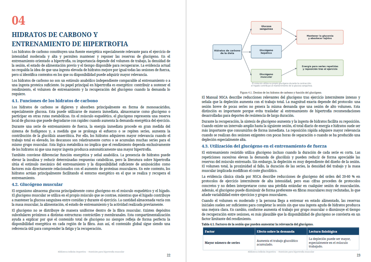 Nutrición para la hipertrofia muscular