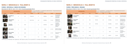 Nivel 3 Mesociclo 2 Full Body A y B